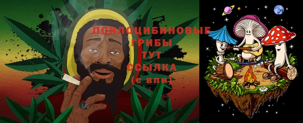 дживик Абаза